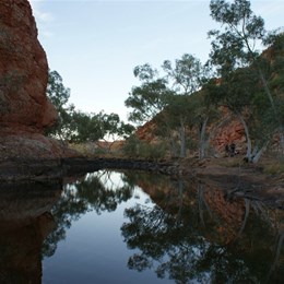 Enjoying Horses Doovers by the 3 Goannas Pool