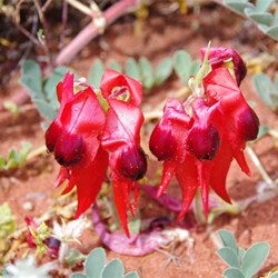 Back on the hunt after the rain stopped