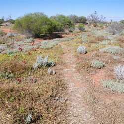 A well worn path means there will be other colours to find