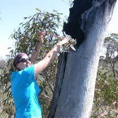 Geocache hiding spot