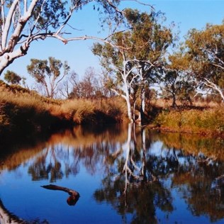 An attractive spot for a camp