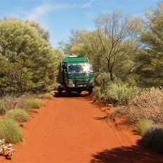 All these bushes had to be trimmed