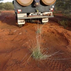 More washed out sections