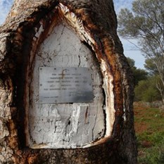 Len Beadell's tree and plaque