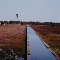 Myall Bore cattle trough