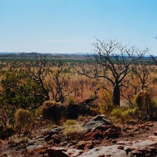 magnificent view from the art site