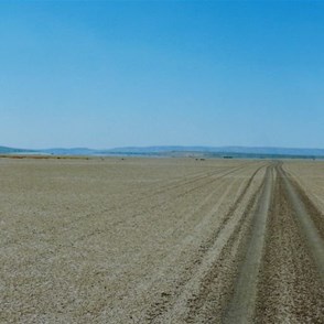 the track across vast mudflats - spot the mirage