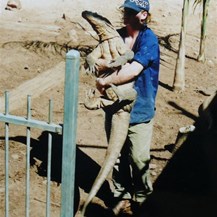 Keeper Kuddles Komodo