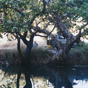 camp on Dog Chain Creek