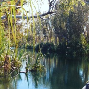 big pools lined with paperbarks and pandanus