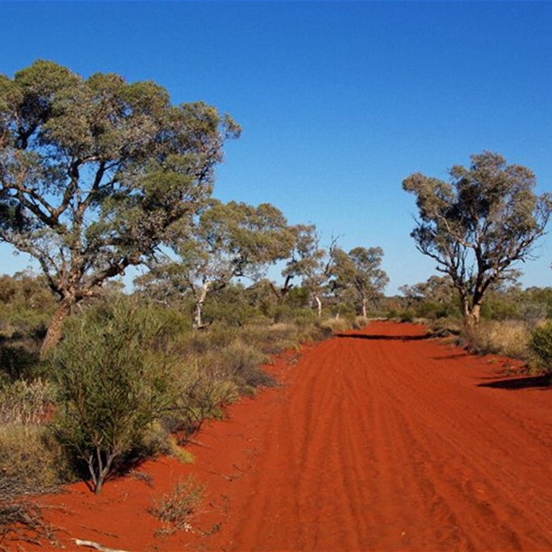 Anne Beadell Highway