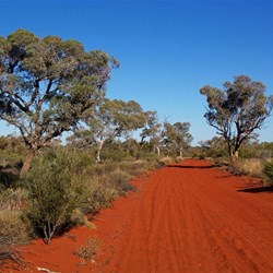 Day 2 and perfect conditions