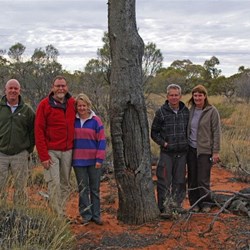 Dead Marble Gum with good Pidi blaze