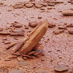 This is what we were looking for