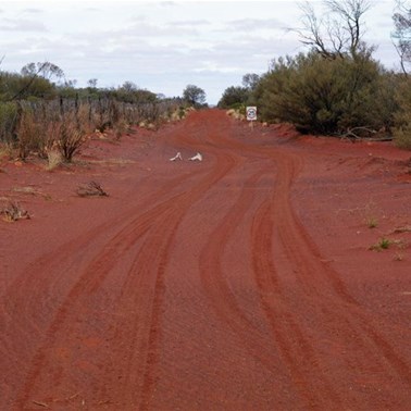 The track running parrelle with the Dog Fence