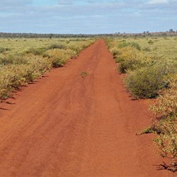 Ever Changing Track Scenery