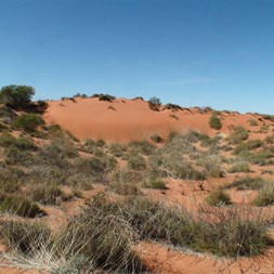 Desert Dunes south of the Anna Plains Track