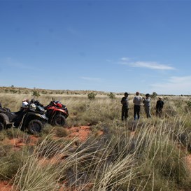 The confluence site and quads