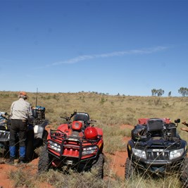 The faithful Arctic Cats