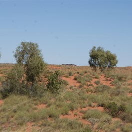 A mystery hill in the Great Sandy Desert