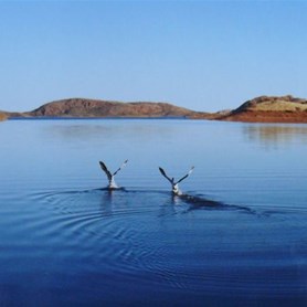Out on Lake Argyle
