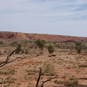 Hidden Valley looking westward, our intended route on the quads.