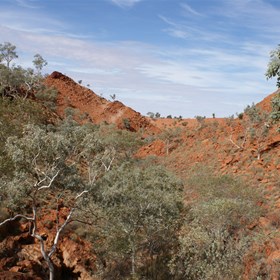Looking up the gorge