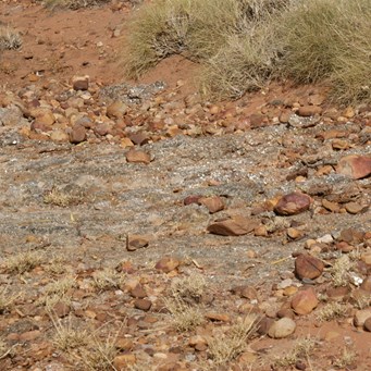 A reef of glittering gold