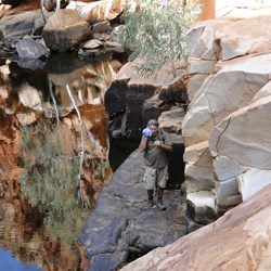 Negotiating one of the pools in the DQB series