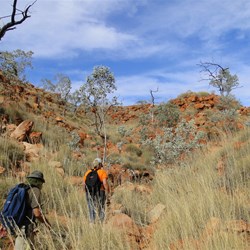 Al leading the Death march into the Broadhurst Ranges