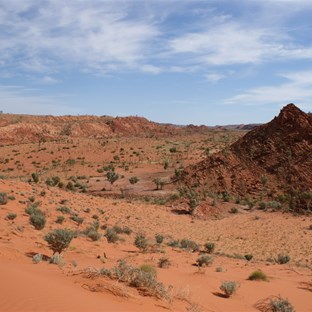 The view west from Pyramid Point