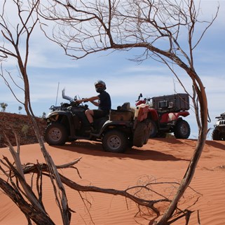 Scotty in an Arctic Cat Calendar shot
