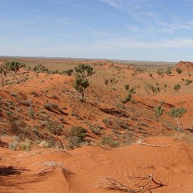 Panoramic from Pyramid Point