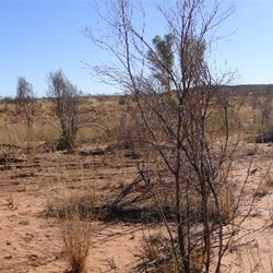 Panoramic shot of the Creek Crossing 