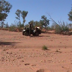 Scouting on the quads