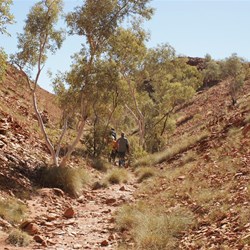 Heading up the ever narrowing confines of Camel Valley