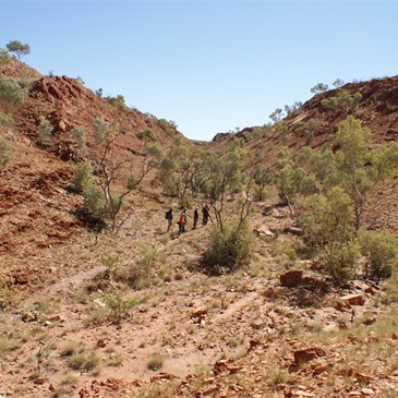 The group heading up Camel Valley (walking west)