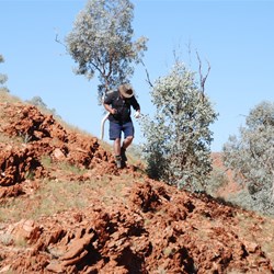Mick O the mountain goat!