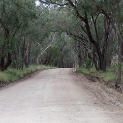 One of the Roads that will take you to Spring Gully
