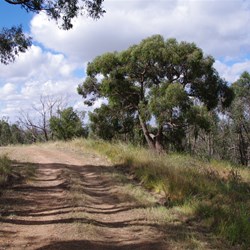 Large cleared area to park your vehicle