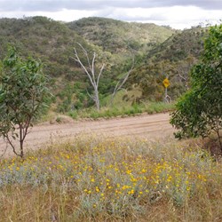 Blue Gum Lookout