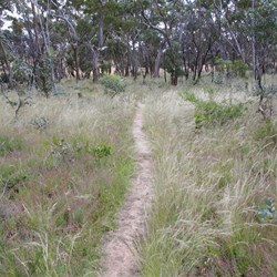 Cascades Walking Trail