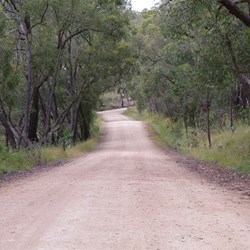 Another Road to Spring Gully
