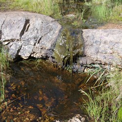 Small rock pool at the top of the falls