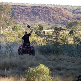 Returning jubilant from the morning real estate search. 