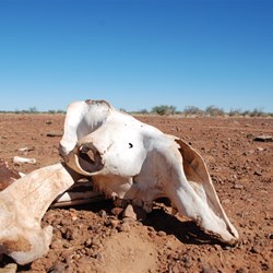 Abandon all hope......