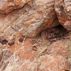 A mysterious cache of cans