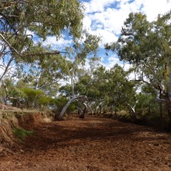 The Pearana Creek to the east of the rockhole