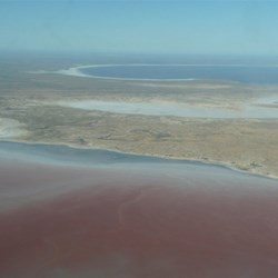 Algae forming in Lake Eyre