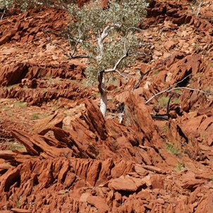 The knife knife like formations in Valley of the Caverns